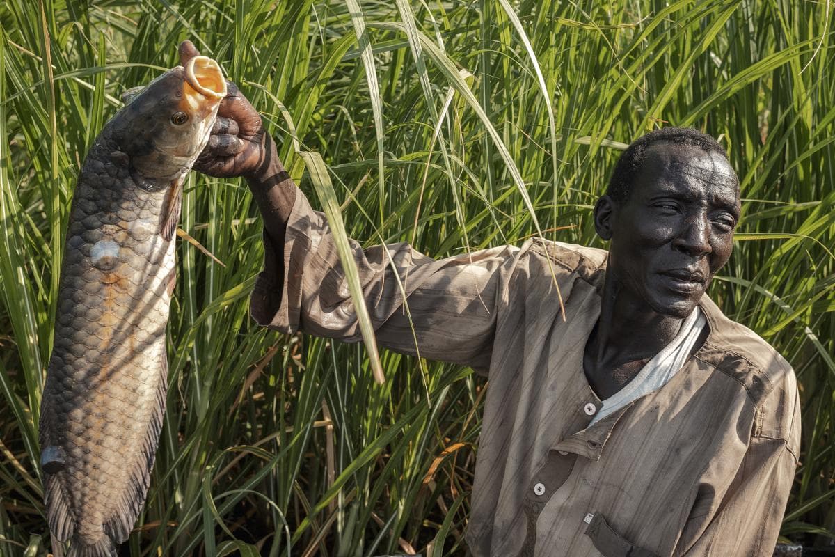 Participant photojournalism story on community livelihoods